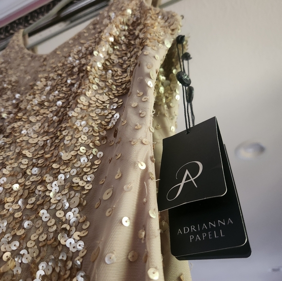 Sequin Tulle Sheath Dress Adrianna Papell - Picture 5 of 5